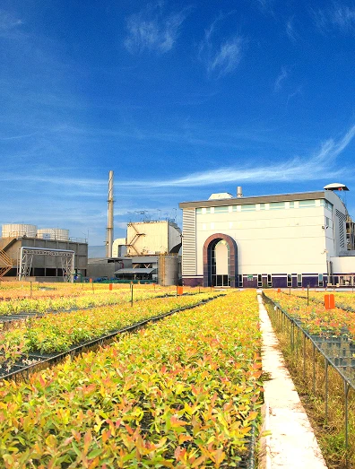 ข้อมูลบริษัท