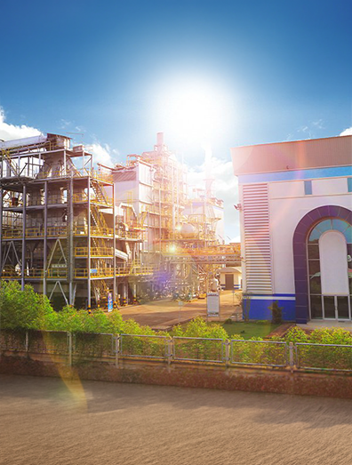 Corporate information