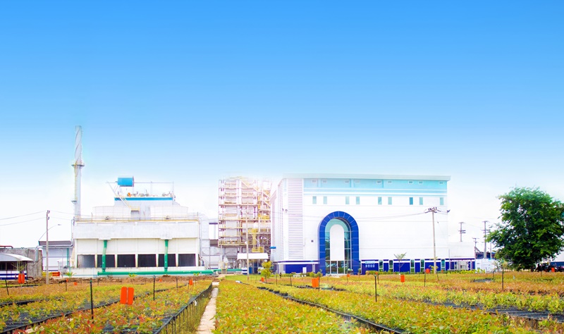 ACE เปิดผลงานปี 66