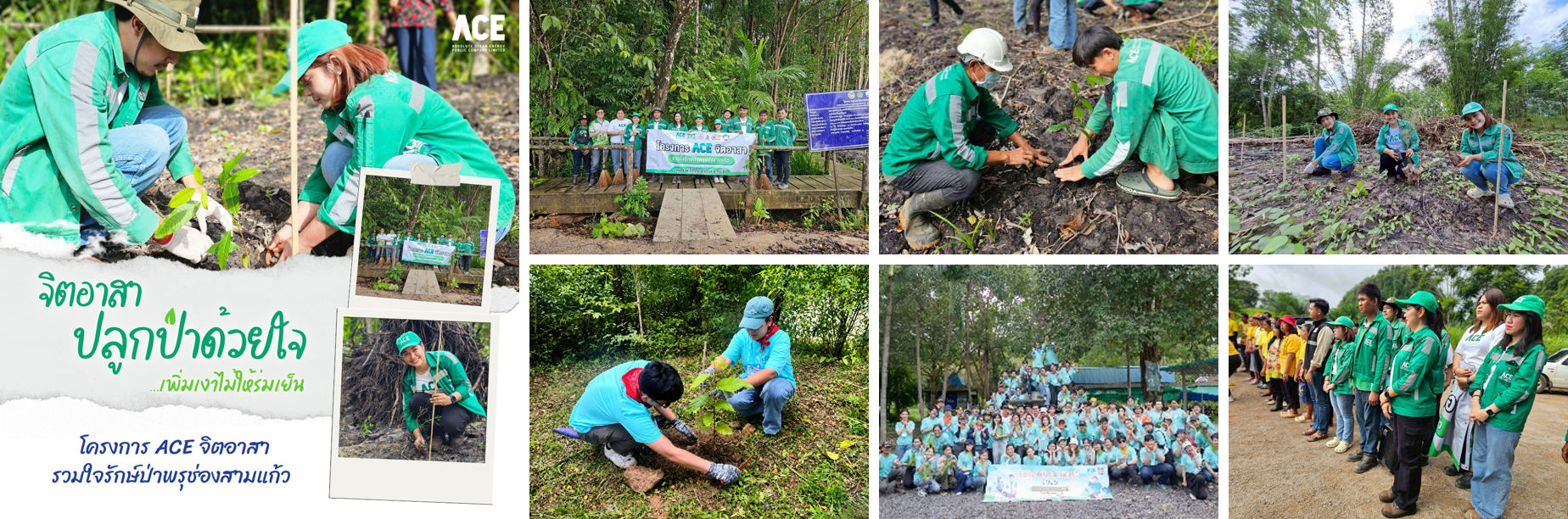 Enhancing Biodiversity in Peat Swamp Forests and Blue Carbon Ecosystems