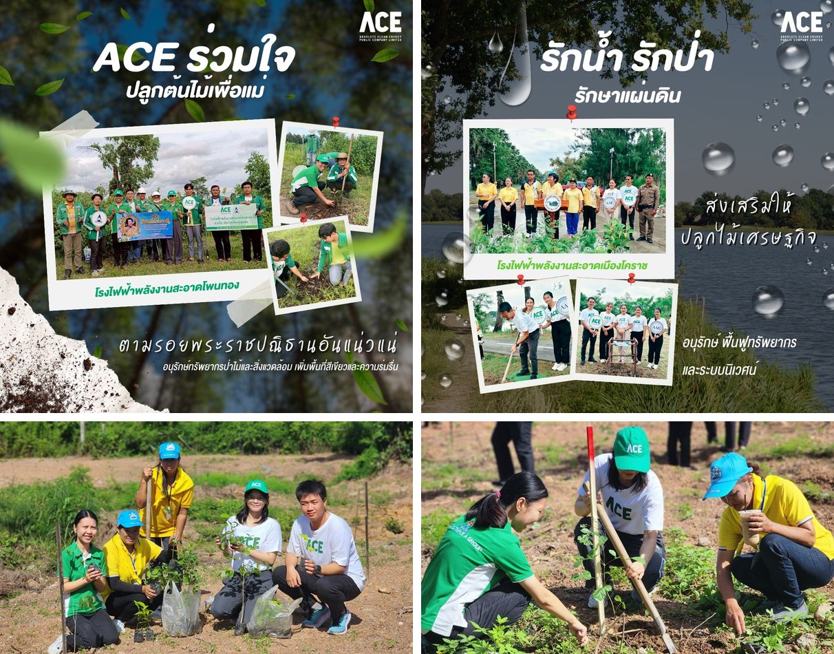 Tree Planting in Public and Community Areas